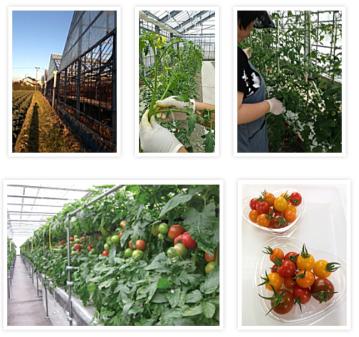 就労継続支援B型事業所じゃんぷ　≪生活支援員／パート・アルバイト≫